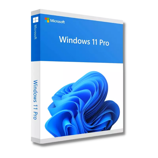 Windows 11 Pro